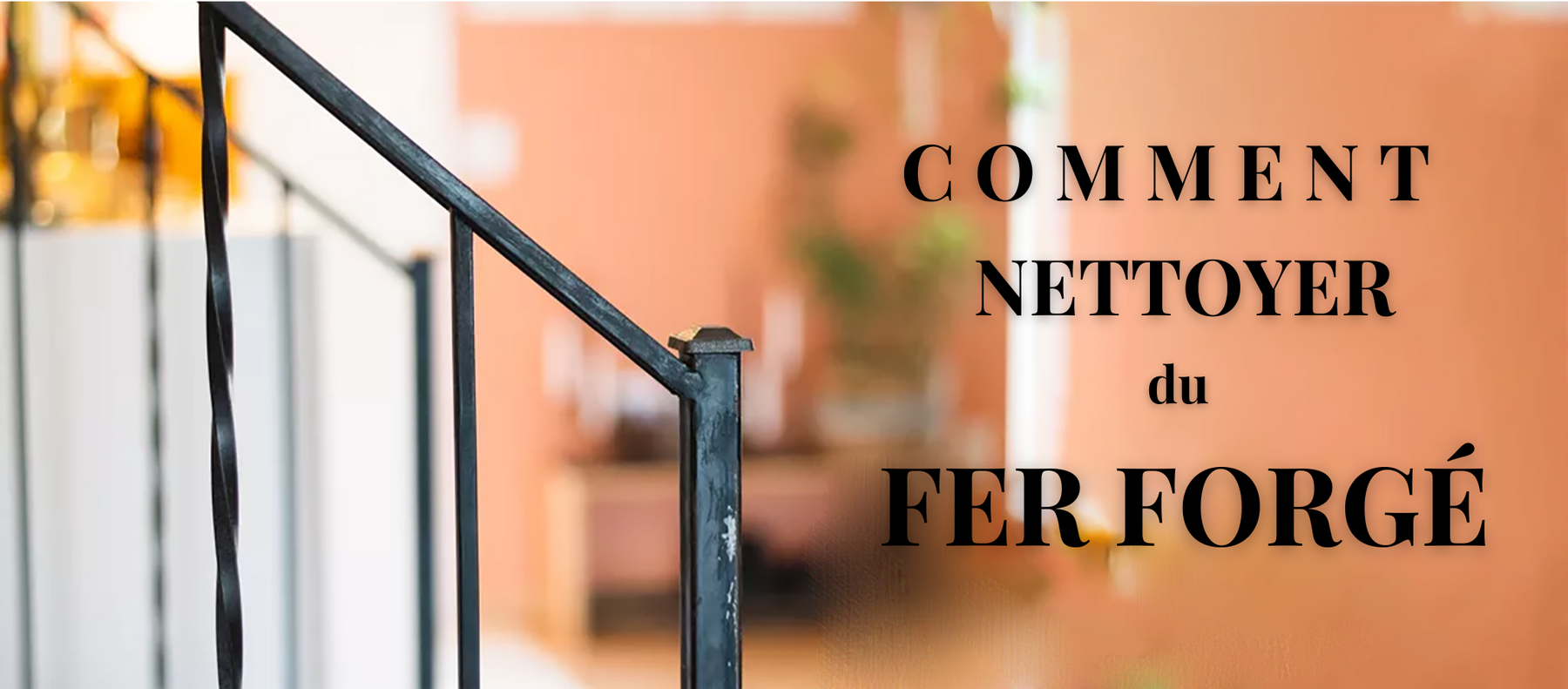 Comment Nettoyer du Fer en 5 étapes faciles Mon Mobilier Indus